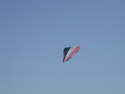 Kite flying in the air at the Summer Palace