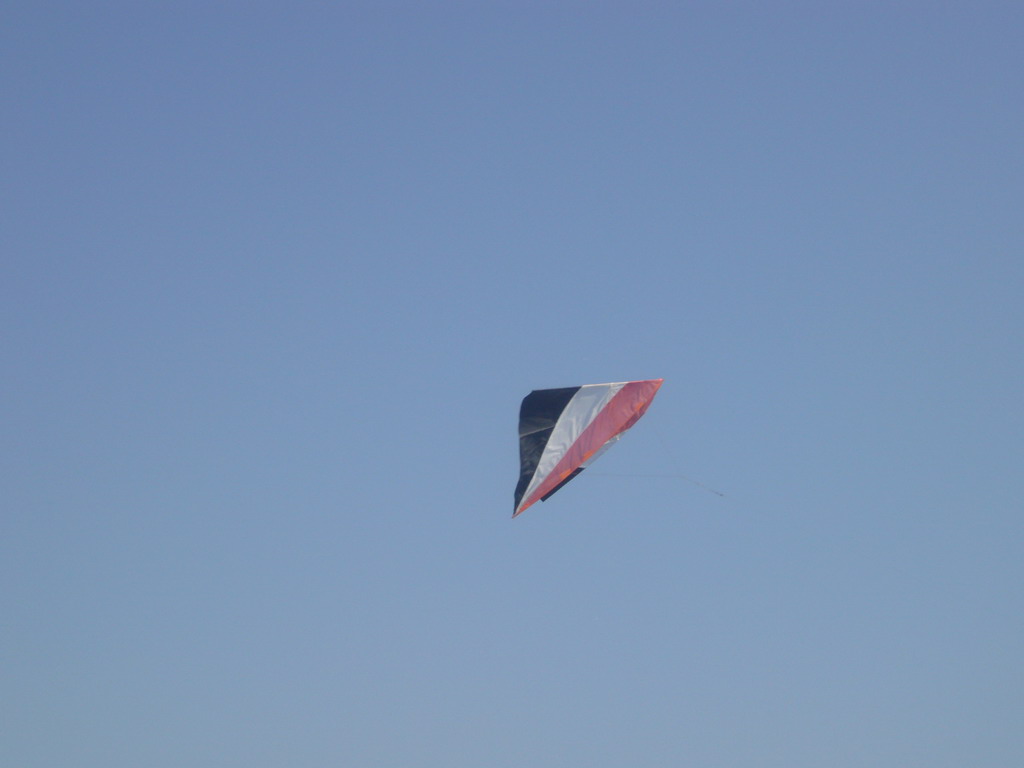 Kite flying in the air at the Summer Palace