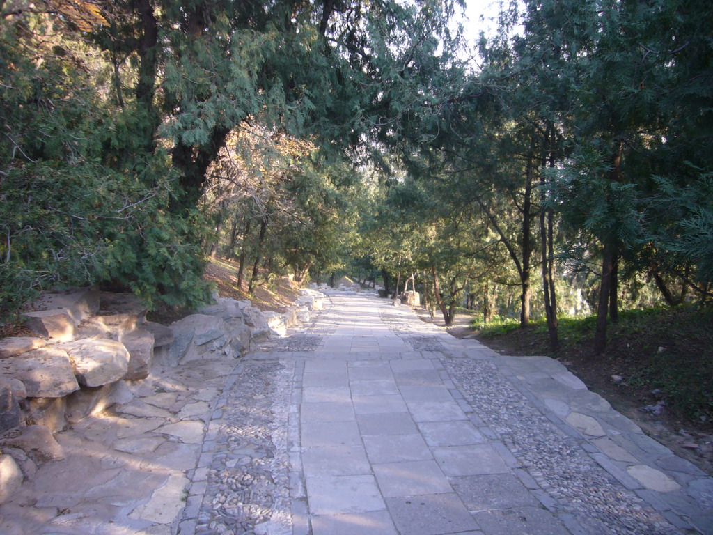 The west path down from Longevity Hill at the Summer Palace