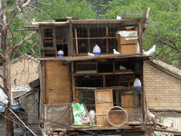 Bird cages at the Panjia Hutong alley, viewed from the Fenfang Liuli street