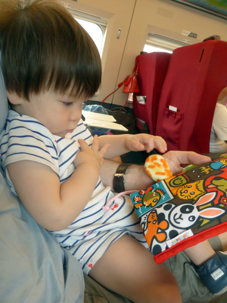 Max reading a book in the high speed train to Zhengzhou