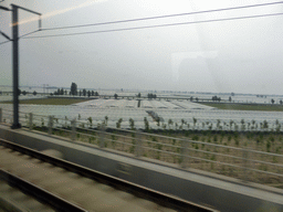 Greenhouses between Baoding and Shijiazhuang, viewed from the high speed train to Zhengzhou