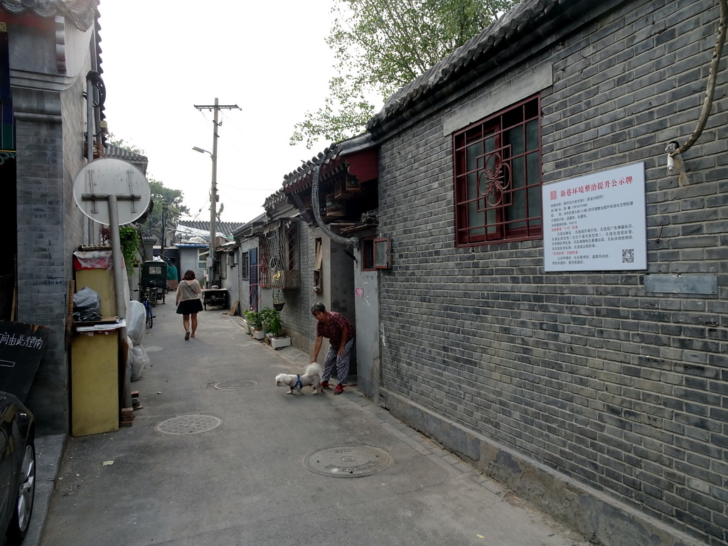 Alley in a Hutong at Nanheyan Street