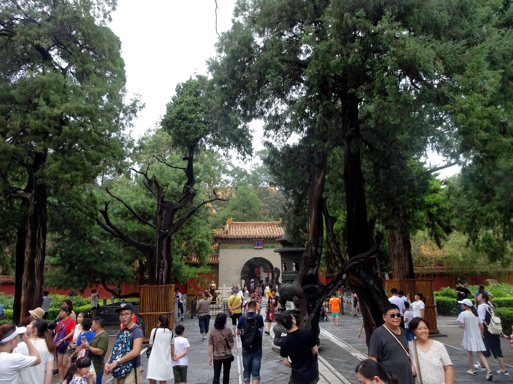 Central path and the One Imperial Gate at the Imperial Garden of the Forbidden City