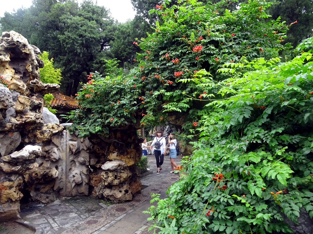 Passageway overgrown with plants at the Imperial Garden of the Forbidden City