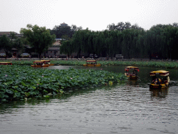 Water lilies and boats at the southeast side of the Beihai Sea at Beihai Park