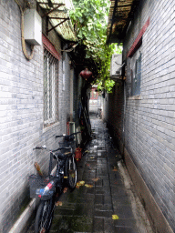 Alley near Zhishanmen Street