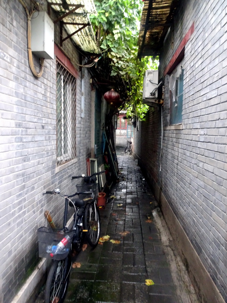 Alley near Zhishanmen Street