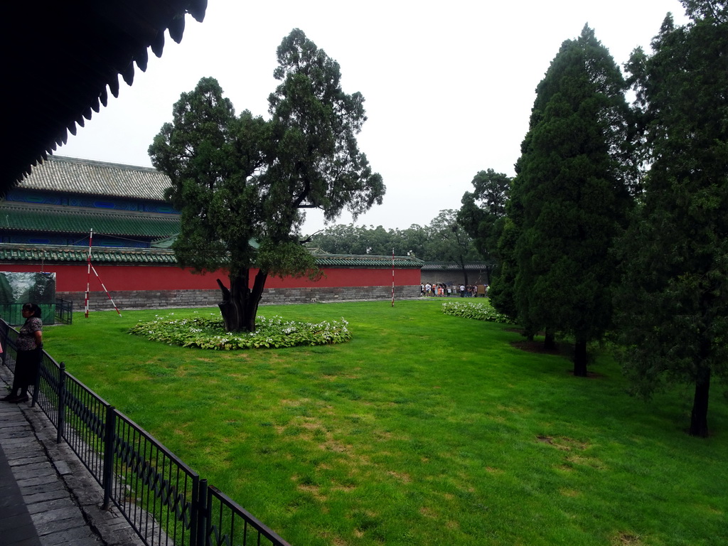 Grassland at the east side of the Temple of Heaven, viewed from the Long Corridor