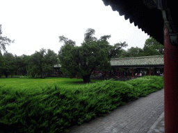 Grassland and trees at the east side of the Temple of Heaven, viewed from the Long Corridor