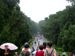 Road to the west side of the Temple of Heaven, viewed from the Vermilion Steps Bridge