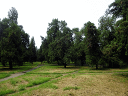 Grassland at the south side of the Temple of Heaven