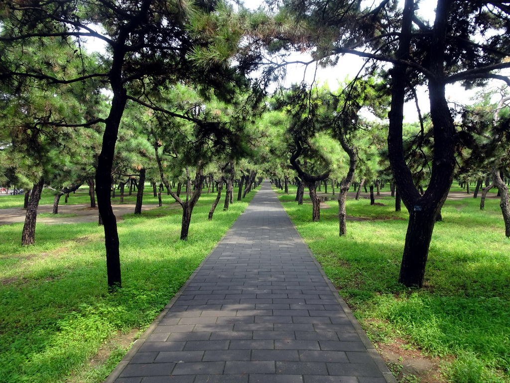 Path at the southeast side of the Temple of Heaven