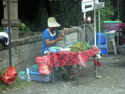 Food merchant along the Jalan By Pass Tanah Lot road, viewed from the taxi