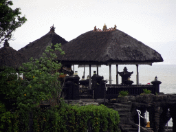 Upper part of the Pura Tanah Lot temple, viewed from the gardens of the Pura Tanah Lot temple complex