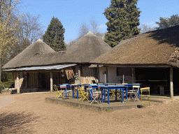 Café at the main square of the Museumpark of the Africa Museum