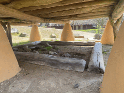 Platform at the Mali village at the Museumpark of the Africa Museum