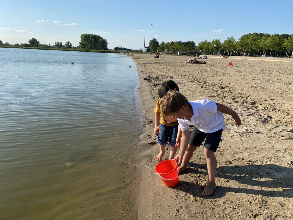 Max and his friend releasing the crabs at the beach at the Binnenschelde lake