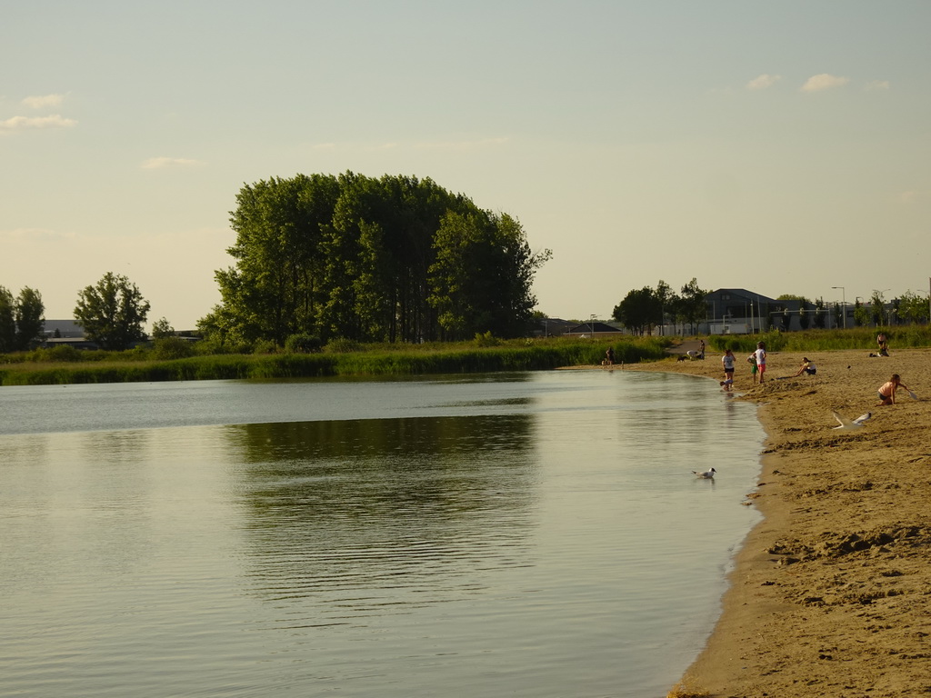 The north side of the beach at the Binnenschelde lake