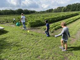 Miaomiao, Max and his friend picking fruit at the FrankenFruit fruit farm