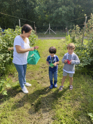Miaomiao, Max and his friend picking fruit at the FrankenFruit fruit farm