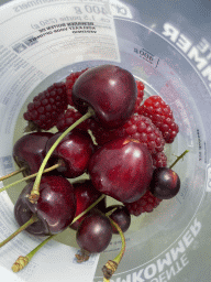 Bucket with cherries and raspberries at the FrankenFruit fruit farm