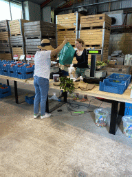 Miaomiao buying fruit at the main building of the FrankenFruit fruit farm