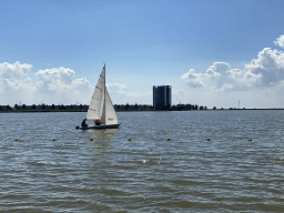 Boat at the Binnenschelde lake and the Mayflower Holding building, viewed from the beach