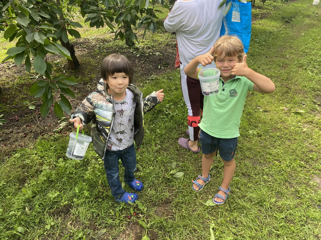 Miaomiao, Max and his friend picking cherries at the FrankenFruit fruit farm