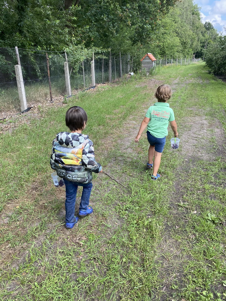 Max and his friend with cherries at the FrankenFruit fruit farm