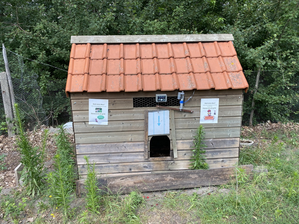 Chicken run at the FrankenFruit fruit farm