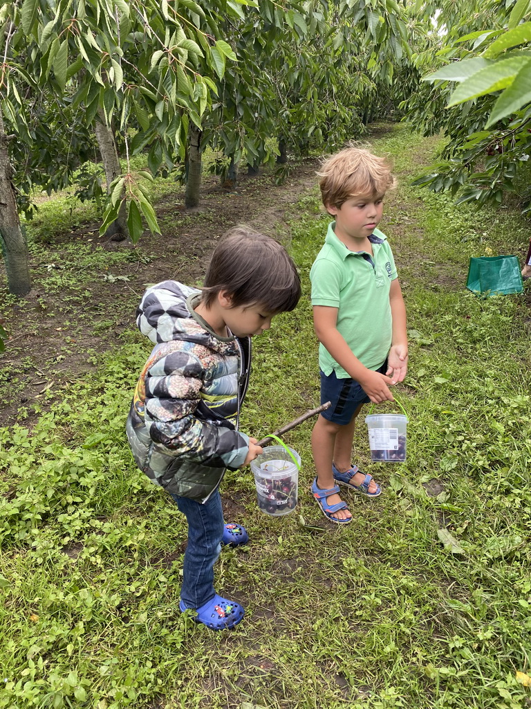 Max and his friend with cherries at the FrankenFruit fruit farm