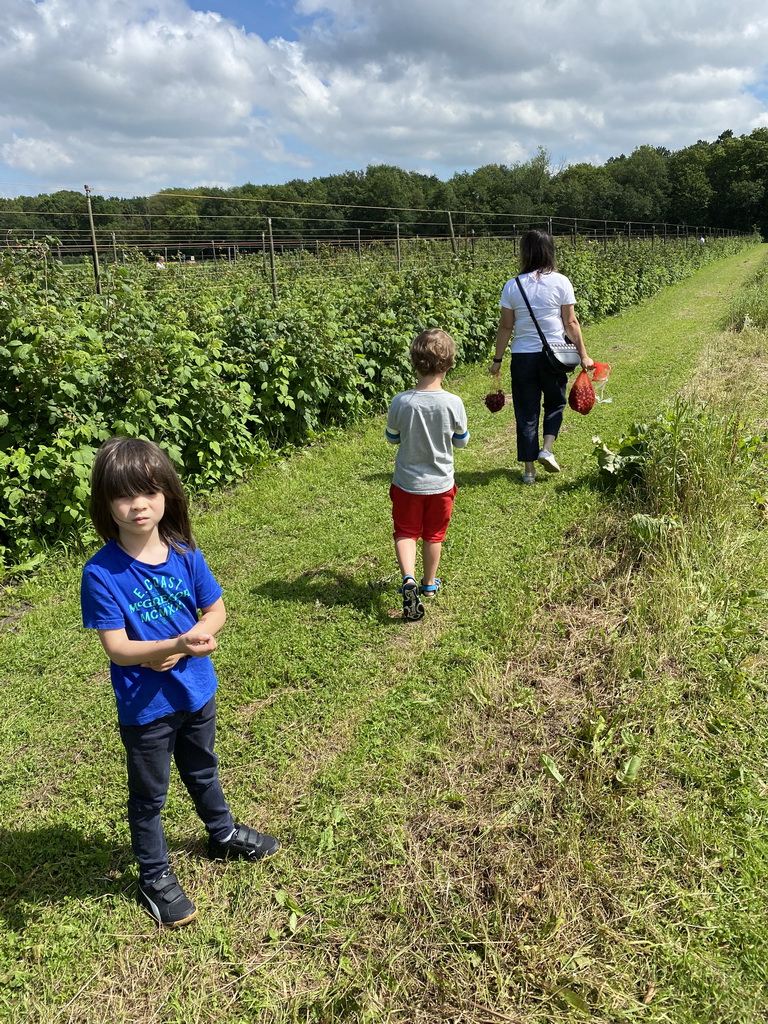 Miaomiao, Max and his friend at the berries at the FrankenFruit fruit farm