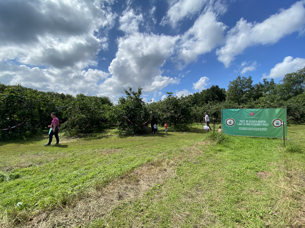 Cherry trees and sign at the FrankenFruit fruit farm