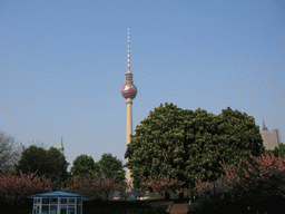 The Fernsehturm tower, viewed from the tour boat on the Spree river