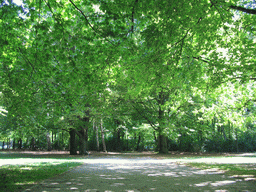 The Tiergarten park