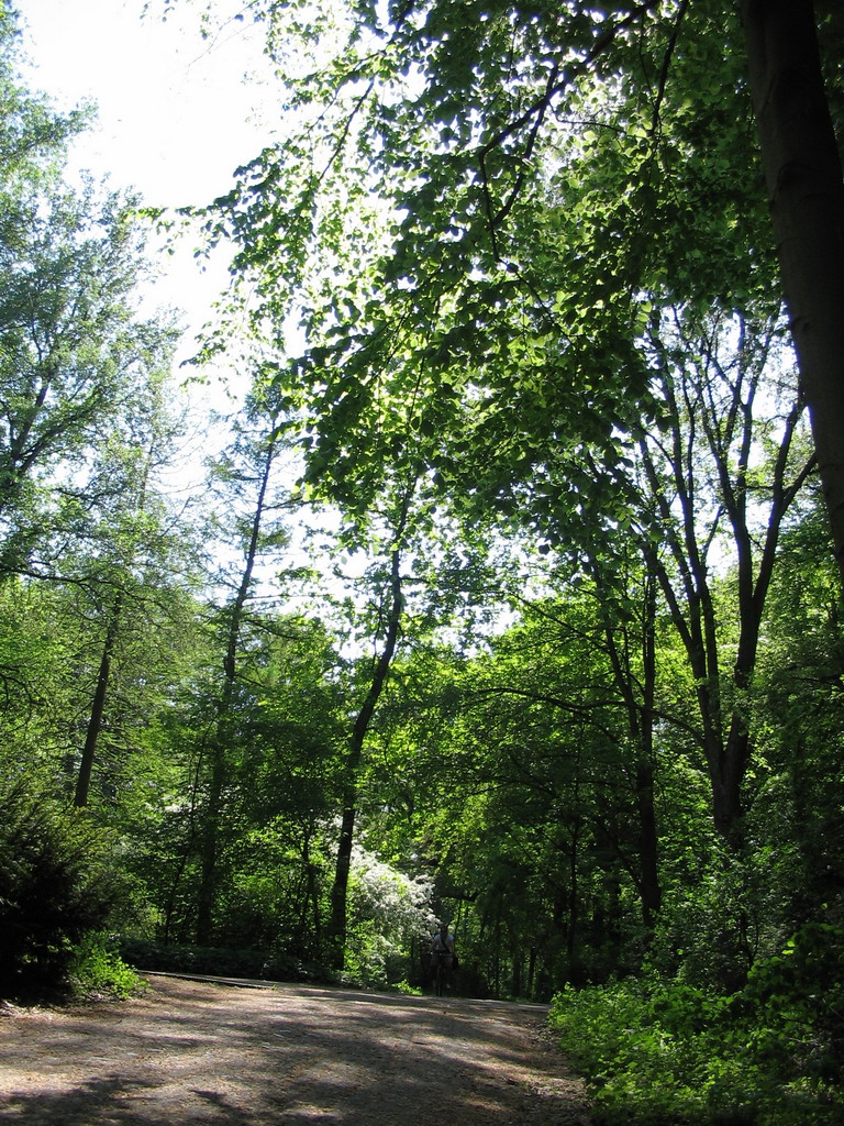 The Tiergarten park