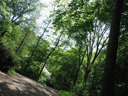 The Tiergarten park