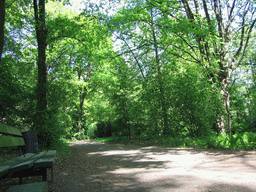 The Tiergarten park