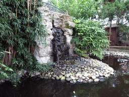 Waterfall near the entrance to BestZoo