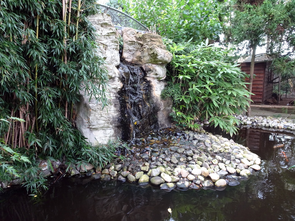 Waterfall near the entrance to BestZoo