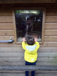 Max in front of the mouse cages at BestZoo