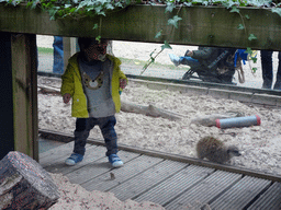 Max in a walkway at the Meerkats at BestZoo