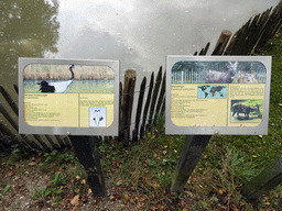 Explanation on the Red-crowned Crane and Sitatunga at BestZoo