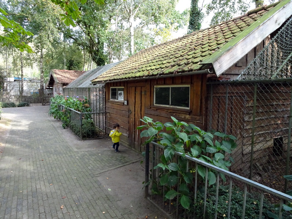 Max in front of the cages at BestZoo