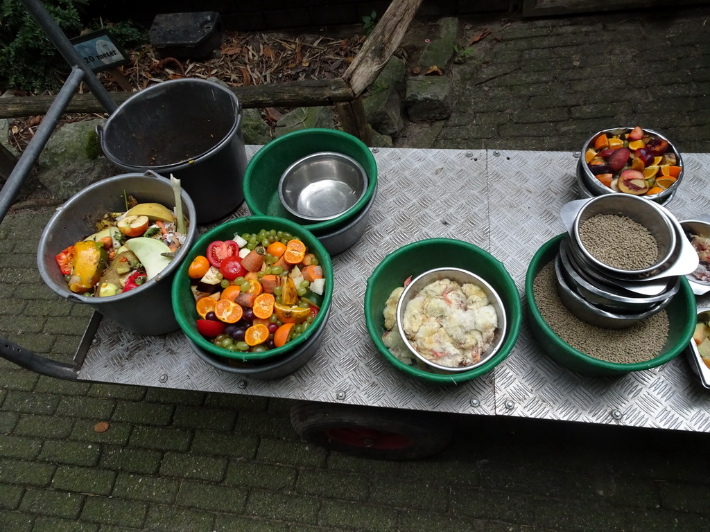 Animal food at BestZoo