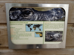 Explanation on the Dwarf Crocodile at BestZoo