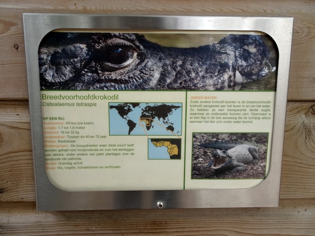 Explanation on the Dwarf Crocodile at BestZoo