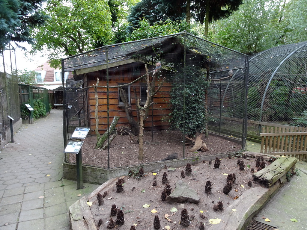 Bird cage at BestZoo