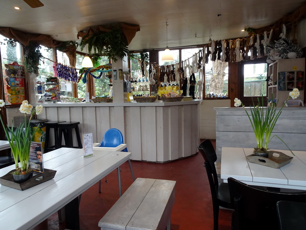 Interior of the building with the restaurant and souvenir shop at BestZoo